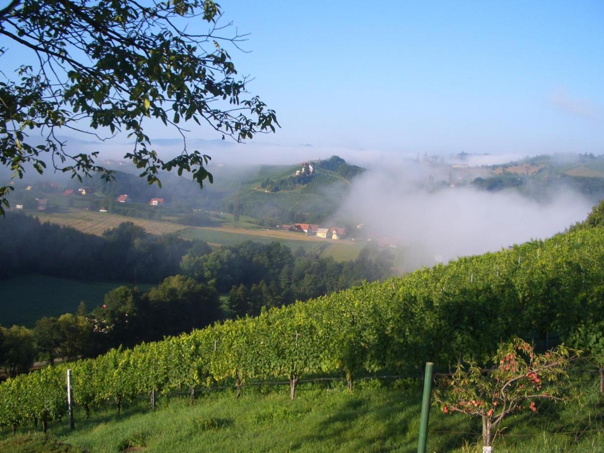 Das Weinberghaus Ratsch an der Weinstraße Exterior foto
